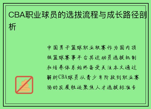 CBA职业球员的选拔流程与成长路径剖析